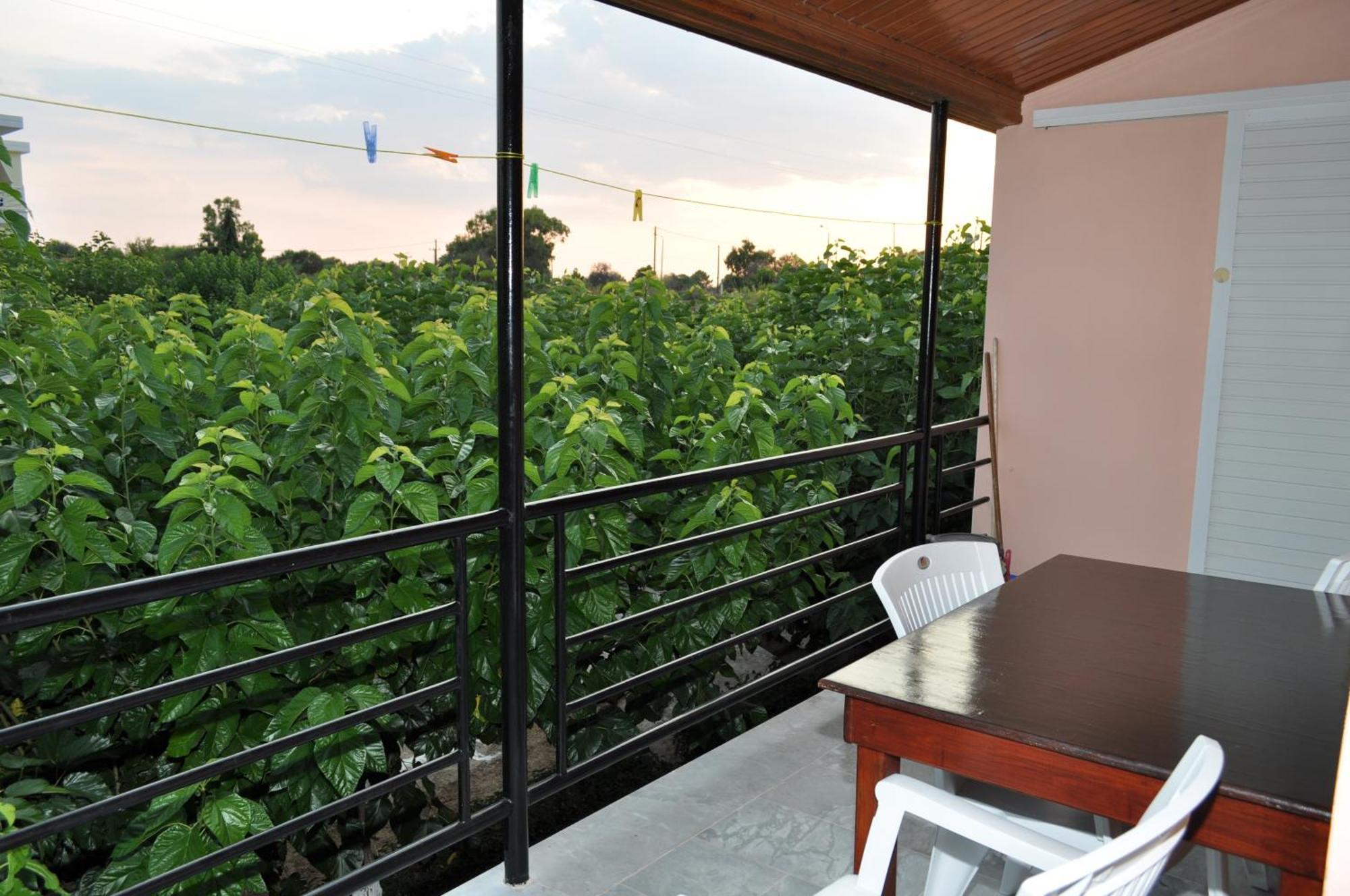 Olympion Village Studios Zacharo Ngoại thất bức ảnh